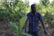 Jovenel on his farm