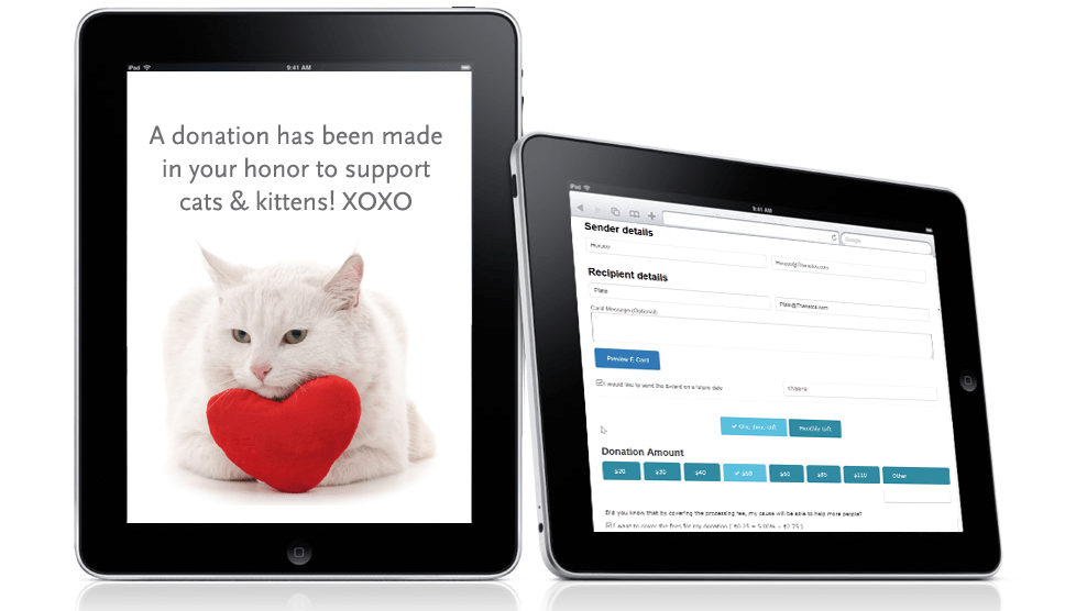 Valentine's Day charity donations