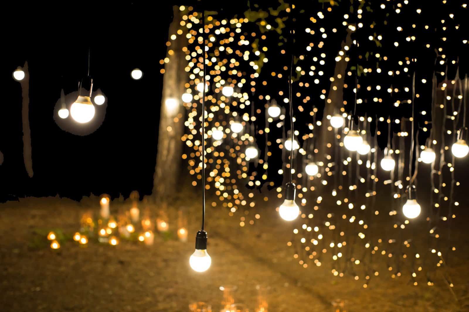Backwardslights
