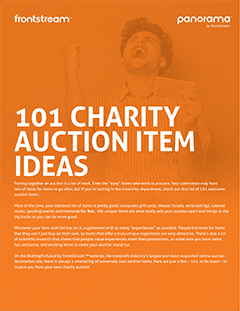 101 Charity Auction Ideas